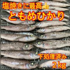 塩焼きに最高！　絶品！ともめひかり　2kg   下処理済み　白身魚　めひかり　塩焼き　天ぷら　メヒカリ　魚の塩焼き　干物