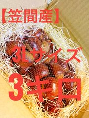 茨城県【笠間産】3Lサイズ　3kg