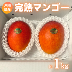 完熟マンゴー／沖縄県産