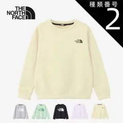種類2：(GL)グラベル/110 ザ・ノース・フェイス キッズ トレーナー THE NORTH FACE NTJ12471 カラライズスウェットクルー クルーネック ストレッチ  ノースフェイス (240125) 子供 