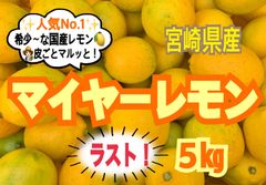 【ラスト❣️】マイヤーレモン5㎏/レモン　国産レモン　みかん　きんかん　果物