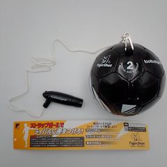 Item thumbnail for item a9f0e581-6dec-4948-93ee-d640f19af304