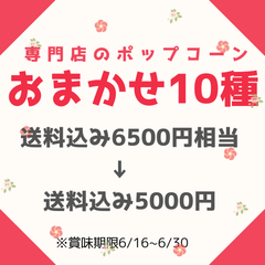 訳あり アウトレット ポップコーン フレーバー 10種 国産 御中元 スイーツ ギフト お返し 御礼 お祝い プレゼント 手土産 差し入れ おしゃれ 高級 お菓子