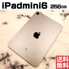 [No.S828] iPad mini6 256GB【バッテリー100％】