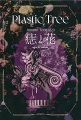 2026年最新】Plastic Tree 奇妙な果実の人気アイテム