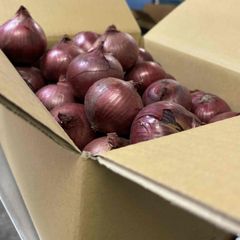 国産　赤玉ねぎＭ　約2ｋｇ