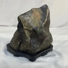 2026年最新】盆石の人気アイテム - メルカリ