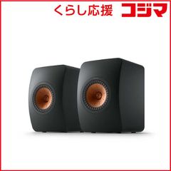 S*E様 90周年記念 BANG & OLUFSEN Beoplay A9 スピ - メルカリ