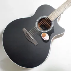 Ibanez AEL125ERD エレアコ ブラック Ibanez AEL125ERD エレアコ ブラック Ibanez AEL125ERD エレアコ