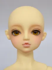 2025年最新】ワンオフ SDの人気アイテム - メルカリ 2025年最新】ワンオフ SDの人気アイテム - メルカリ