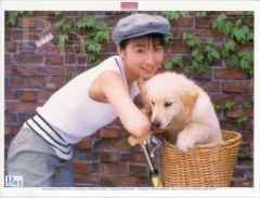 【中古】パズル 広末涼子 散歩 ジグソーパズル 500ピース [500-08]