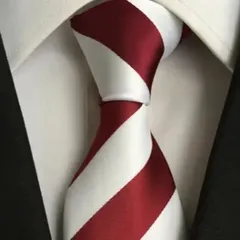 メンズネクタイ　結婚式　発表会　クリスマス　パーティー　イベントスト　ビジネス　ストライプ柄　格安　セール　スーツ　ワイシャツ　バーテンダー　ネクタイ　小物　レッド色　赤色　ワインレッド色　赤紫色　ホワイト色　白色