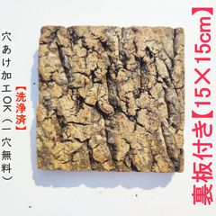 N0220【アジア】アンティーク加工 青花 唐草柄 貫入 植木鉢 室内