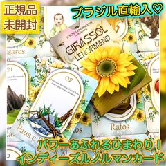 ✨希少品✨物語を覗き見するようなおとぎ話のミニオラクルカード