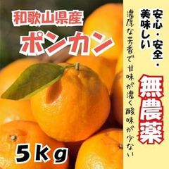 和歌山県産無農薬無肥料除草剤不使用ポンカン箱込5キロ