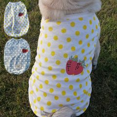 新品 犬服 ちくわちゃん かわいいいちご刺繍ドット柄