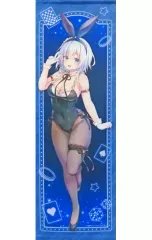【中古】タペストリー 姫路白雪 描き下ろしスリムタペストリー MF文庫J『夏の学園祭2023』 「ライアー・ライアー」 C102グッズのサムネイル