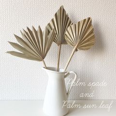 パームスペード　パームサンリーフ　セット