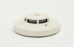 Item thumbnail for item b65adcc5-717d-499c-852a-331e3b294f6f