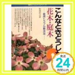 安い船越桂の通販商品を比較 | ショッピング情報のオークファン