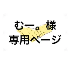 アイシングクッキー　むー。様専用ページ