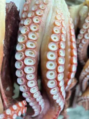 R.M様専用ページ