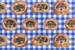 【ゆきちゃん限定】X1744 チワワ ロングコート パン 格子 青 布 1m