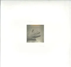 米LP Grouper Shade KRANK233 Kranky /00260