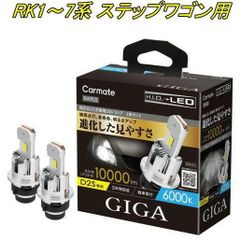【定形外郵便】カーメイト GIGA LEDヘッドバルブ D10 6000K D2S ホンダ RK1〜7系 ステップワゴン用【BW903】