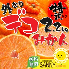 2026年最新】熊本みかんの人気アイテム - メルカリ