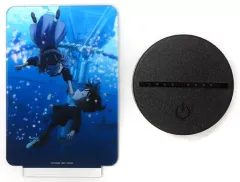 【中古】アクリルスタンド・アクリルパネル [単品] 江戸川コナン＆灰原哀 光るアクリルプレート 「Blu-ray/DVD 劇場版 名探偵コナン 黒鉄の魚影 HMV・Loppi限定セット」 同梱特典