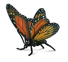 原画　　オオカバマダラ　A3サイズ 2025年最新】カバマダラの人気アイテム - メルカリ
