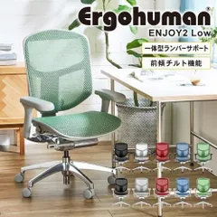 【値下げ】エルゴヒューマン エンジョイ グリーン エルゴヒューマン エンジョイ / ヘッドレスト無し【メーカー