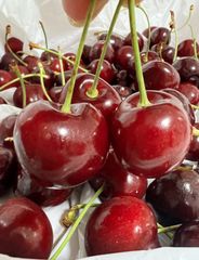 2セット限定‼️10r大粒ネコポス箱こみ1kg‼️常温便　アメリカンチェリー 　母の日　父の日　家庭用　果物空輸直送　ジューシーな果肉｜American Premium Cherries 車厘子 美國櫻桃 さくらんぼ　国内検品発送