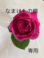 なまけもの様専用　天然石ネックレストップ