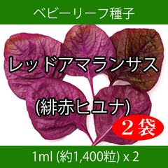 ベビーリーフ種子 B-38 レッドアマランサス(緋赤ヒユナ) 1ml x 2袋
