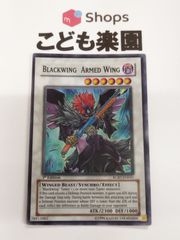 遊戯王　海外版　英語　BF―アームズ・ウィング / Blackwing Armed Wing　1st　スーパー　RGBT-EN041