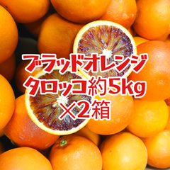 ブラッドオレンジ　タロッコ　約10kg