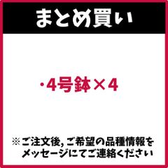 ★JJ★ ハンドメイド大きめフラットポーチ4点 紫陽花 桜 A512 ☆JJ様専用☆ ハンドメイド大きめフラットポーチ4点 紫陽花 桜 A512