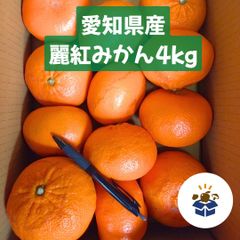 【大人気】愛知県産 麗紅みかん 4kg