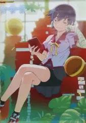 化物語　物語シリーズ　Tカード販促のぼり旗　タペストリー　ポスター 化物語 物語シリーズのTカード のぼり旗 化物語 傷物語 物語