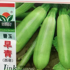 西葫芦 ズッキーニ　種　15粒のサムネイル