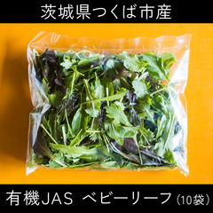 味が濃い！有機JAS認証 ベビーリーフ（10袋）