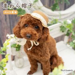 Pettomo ペット用帽子 麦わら帽子 春 夏 帽子 アクセサリー 犬 犬用 日除け ペット 暑さ対策 猫 子猫 超小型犬 小型犬