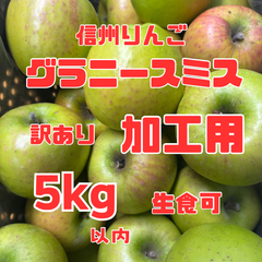 長野県産りんご 熟成グラニースミス 訳あり加工用 箱込み5キロ以内 送料無料 生食可もあり 大小バラ詰サイズMIX ジャム ジュース リンゴ酢 りんごシロップ フルーツサンド カットフルーツ