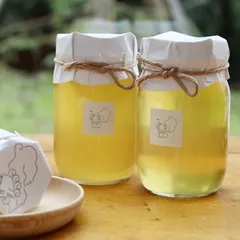 【新品】シシ七十二候[シシシチジュウニコウ] 第七十三候 クロガネモチの蜂蜜(600g) [国産天然はちみつ]