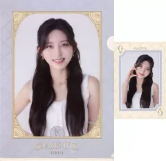 IVE リズ グッズ まとめ売り ペンライト付き 一番くじA賞 限定品 IVE リズ グッズ まとめ売り ペンライト付き 一番くじA賞 限定品