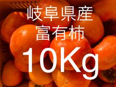 最終販売‼️ 岐阜県産富有柿　10キロ