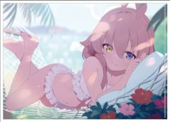 中国限定】ブルーアーカイブ【水着ホシノ】マウスパッド - メルカリ