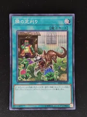 遊戯王 隣の芝刈り アジア版 2枚 Amazon.co.jp: 遊戯王/隣の芝刈り（コレクターズレア